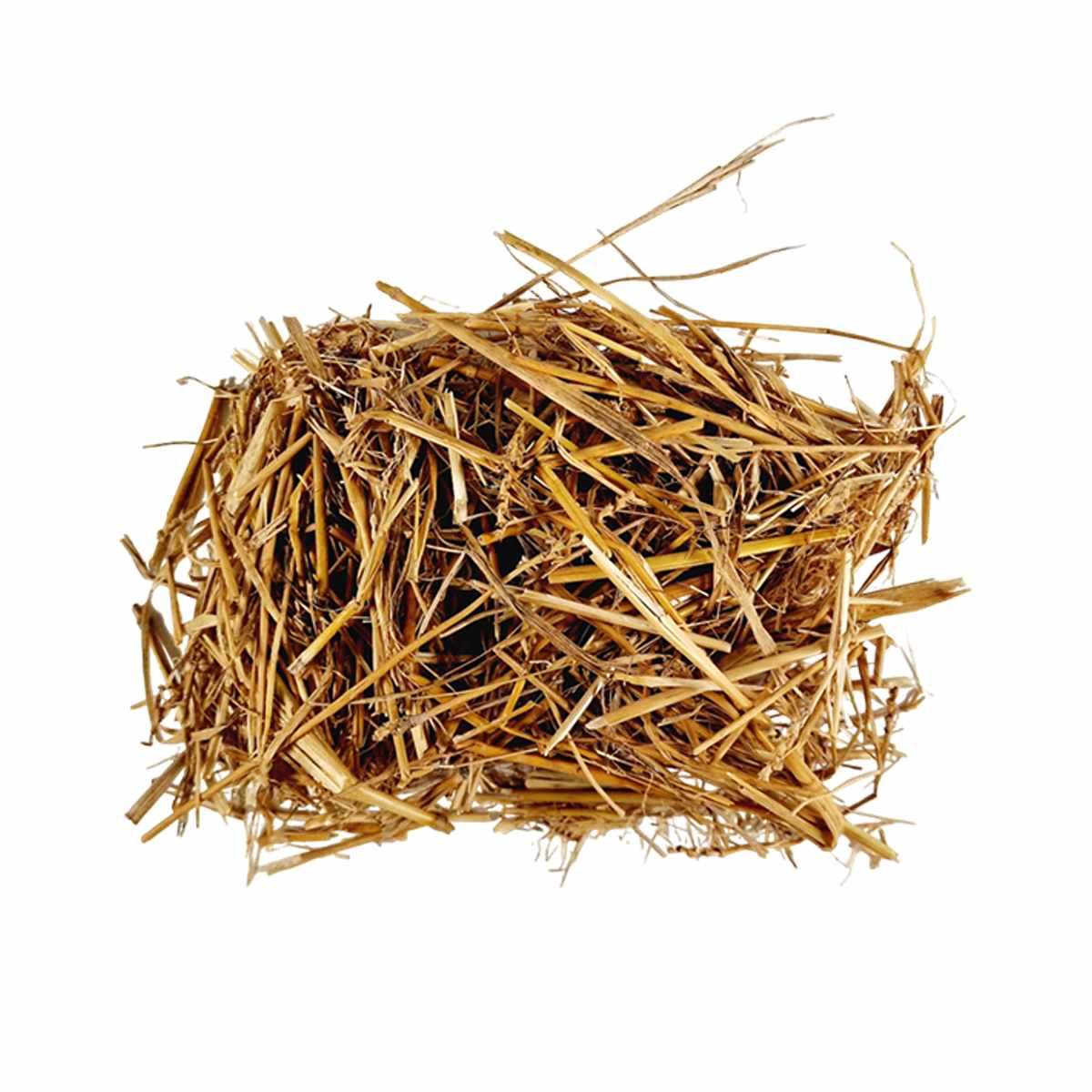 Paglia gr.30 | M2 Store