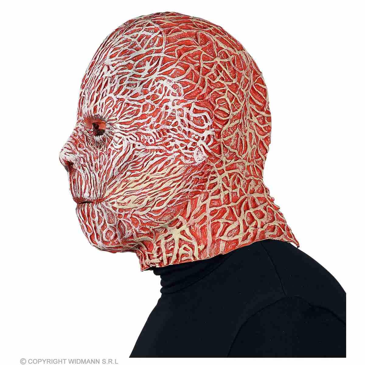 Maschera Viso Lattice Effetto Bruciato Freddy |Widmann