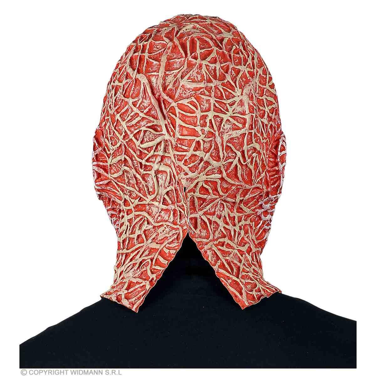 Maschera Viso Lattice Effetto Bruciato Freddy |Widmann
