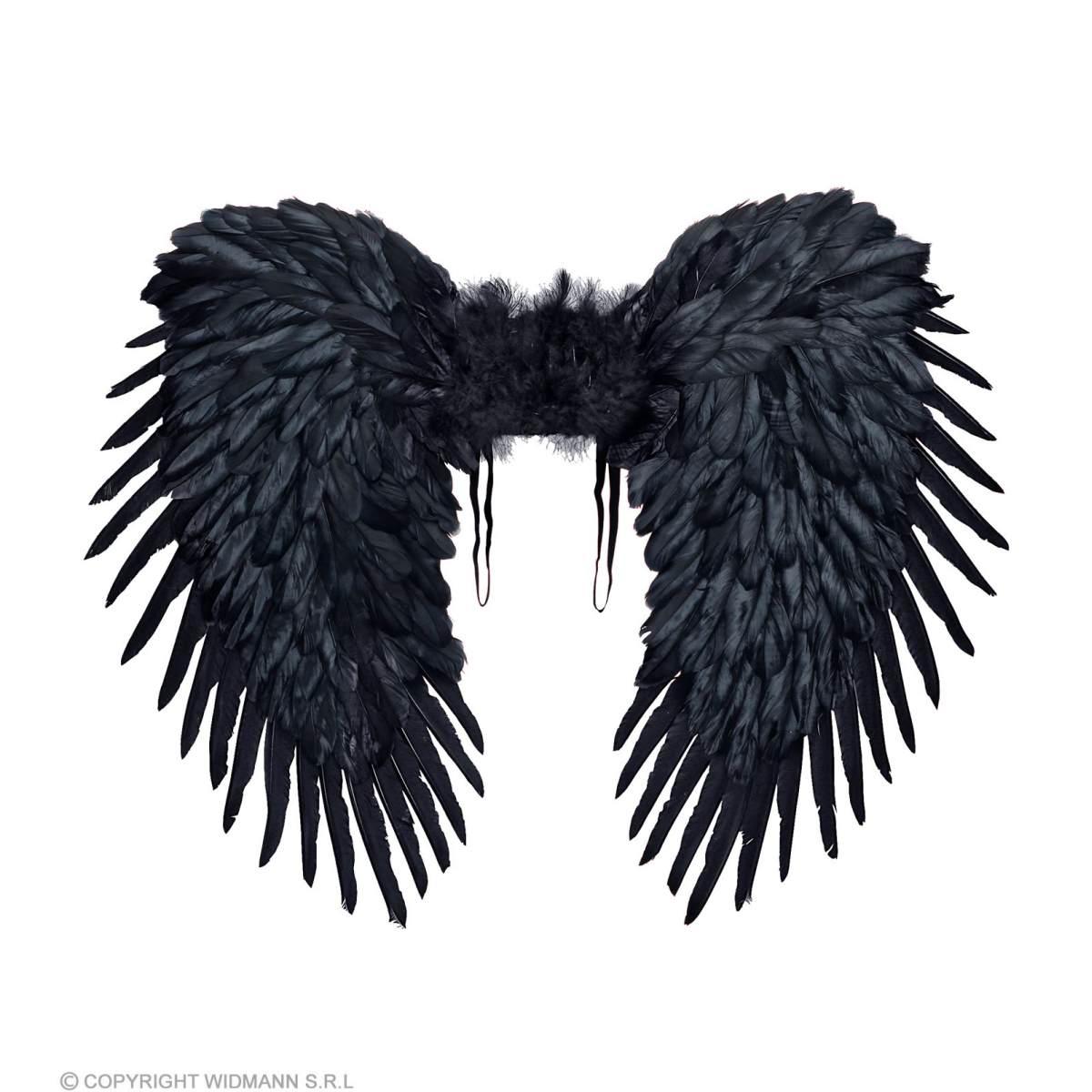 Ali Piumate Nere cm.80x60 |Widmann