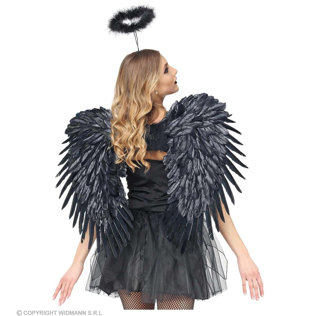 Ali Piumate Nere cm.80x60 |Widmann