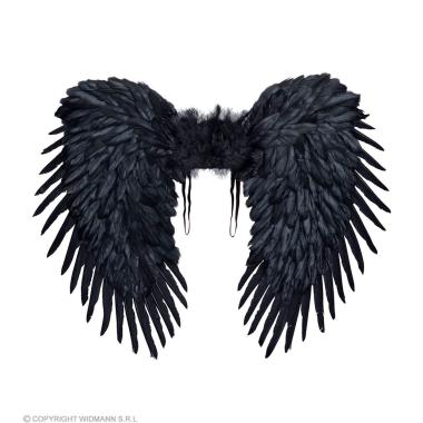 Ali Piumate Nere cm.80x60 |Widmann