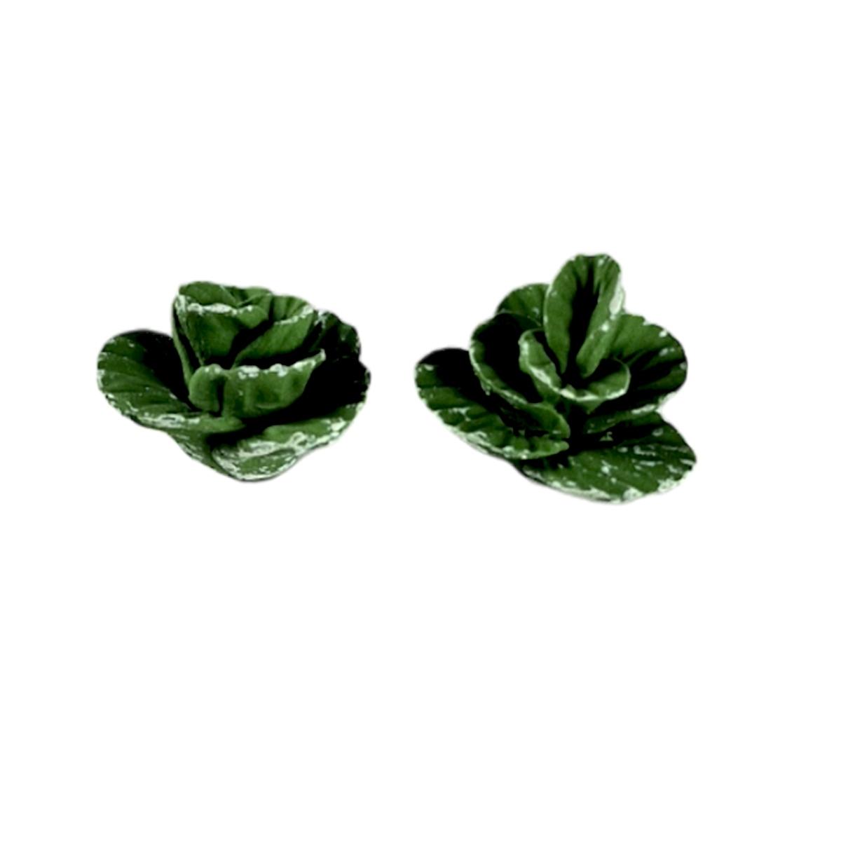 Ortaggi Insalata Set 2 pezzi cm.2 | Rossi Rosa