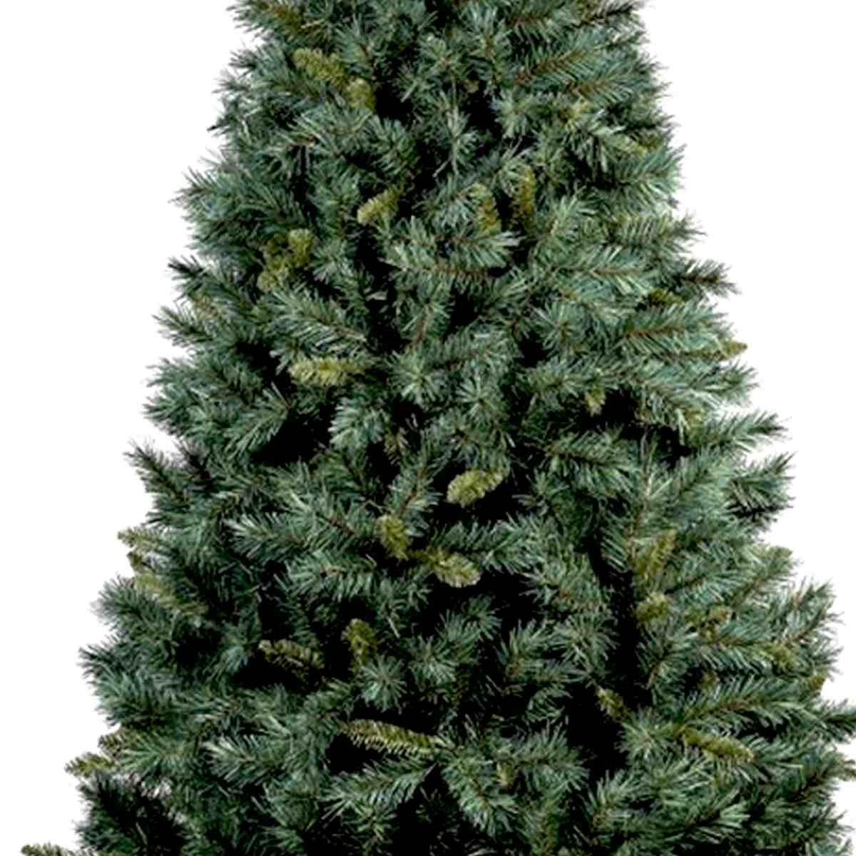 Albero Natale cm.240 Verde Castagno del Gargano |Mazzeo