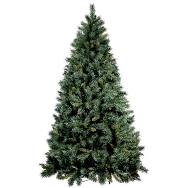 Albero Natale cm.240 Verde Castagno del Gargano |Mazzeo