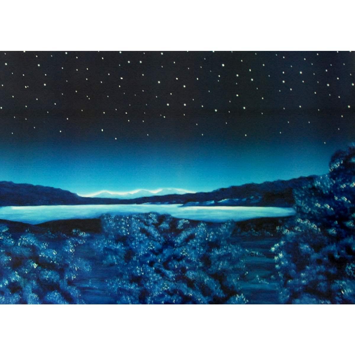 Fondale Paesaggio Notturno con Stella Cometa cm.200x70 | Euromarchi