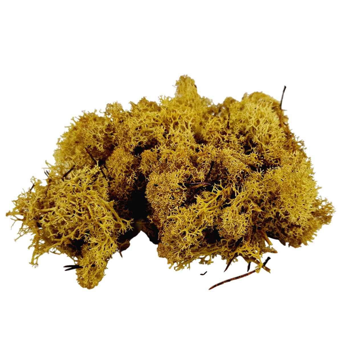 Lichene Sintetico Verde Chiaro gr.30 | M2 Store