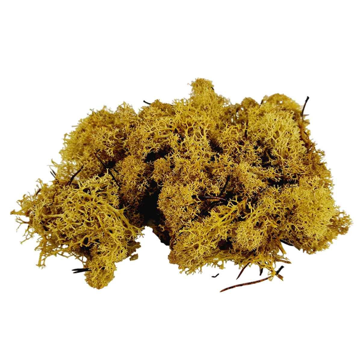 Lichene Sintetico Verde Chiaro gr.30 | M2 Store