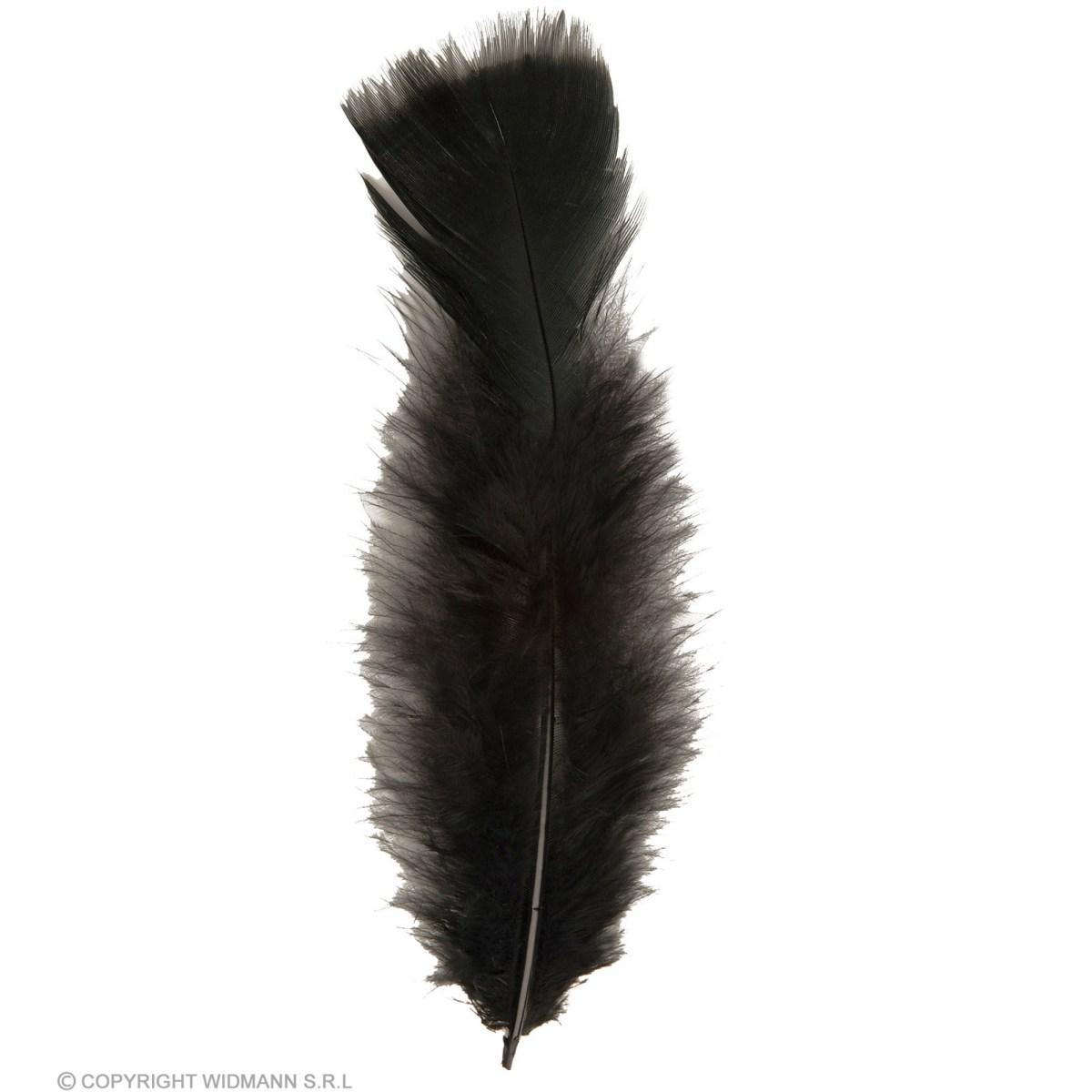Piuma Struzzo cm.10 Nera Set pz.50 |Widmann