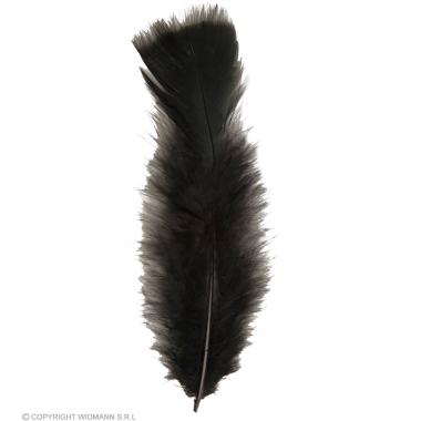 Piuma Struzzo cm.10 Nera Set pz.50 |Widmann