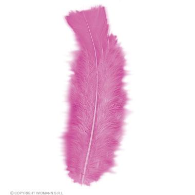 Piuma Struzzo cm.10 Rosa Fucsia Set pz.10 |Widmann