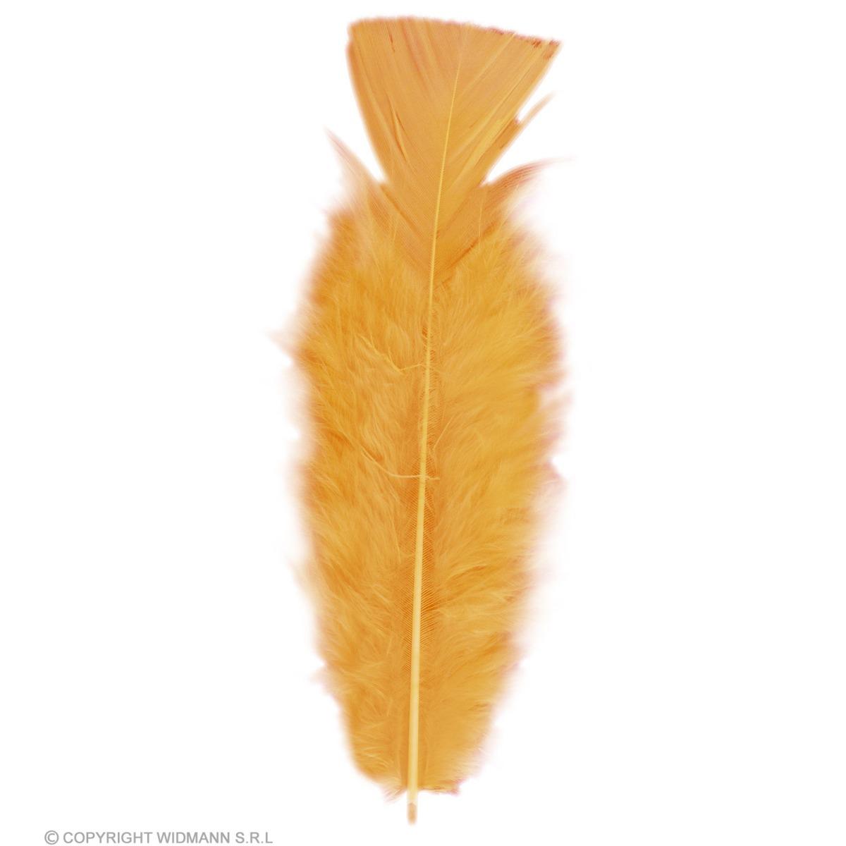 Piuma Struzzo cm.10 Arancione Set pz.50 |Widmann