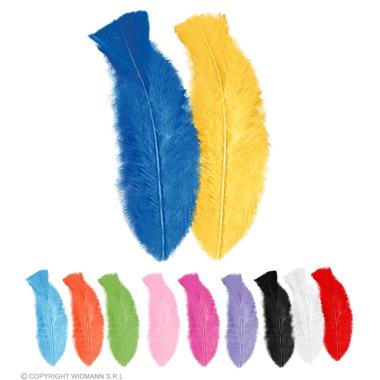 Piuma Struzzo cm.10 Set pz.50 |Widmann