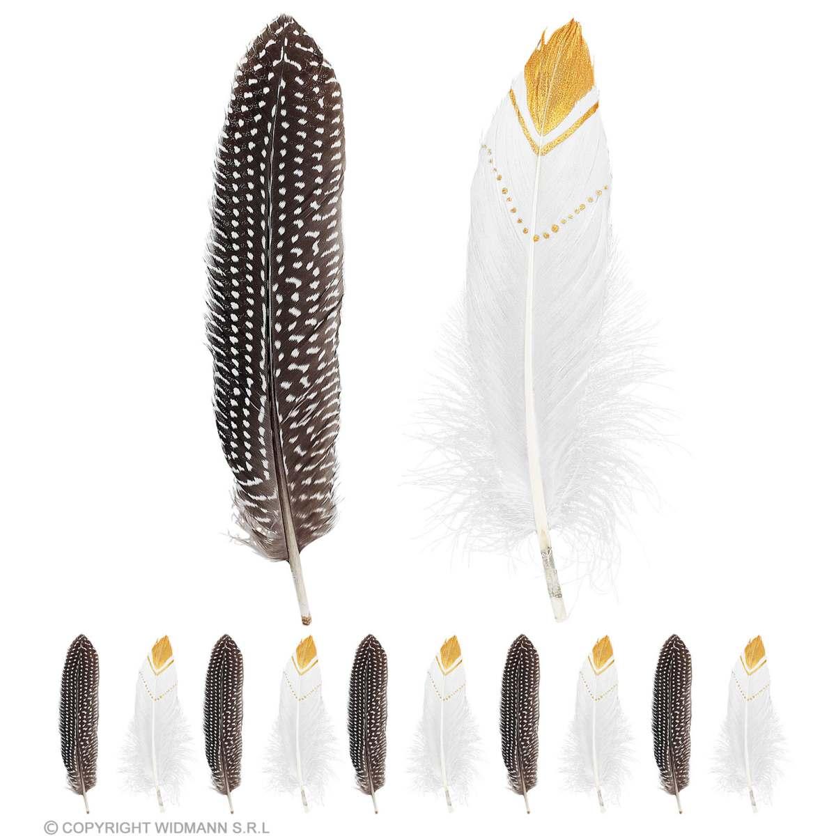 Piuma Struzzo Indiano 2 Colori Set pz.12 |Widmann