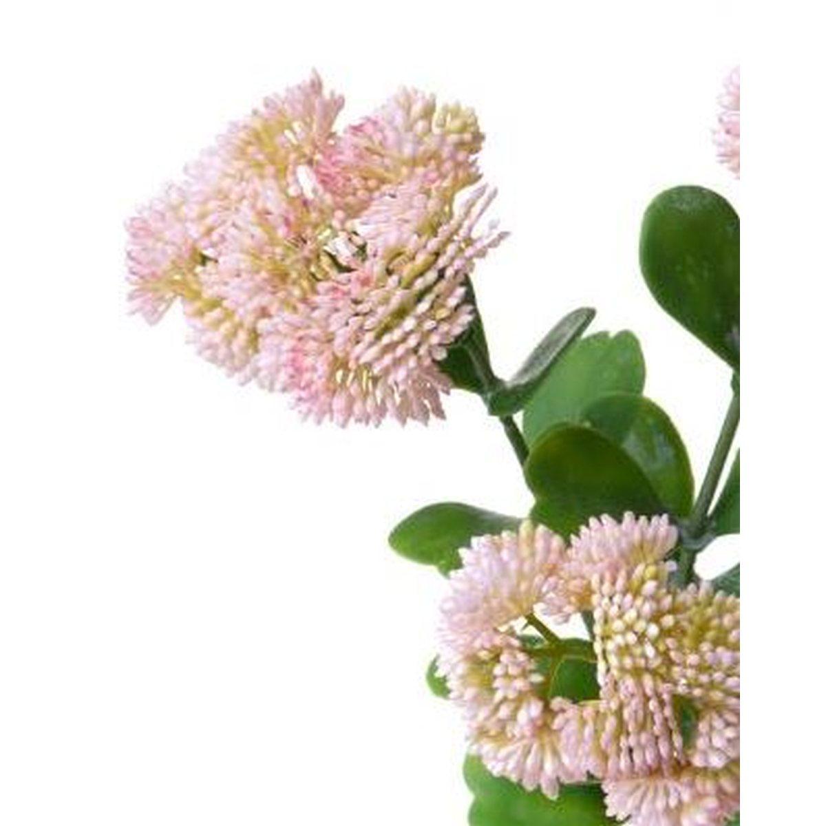 Fiore Sedum Rosa cm.56 | Bianchi Dino