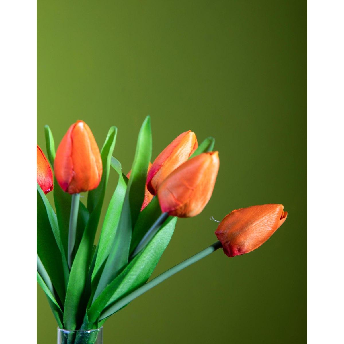 Fiore Tulipano Arancione Mazzetto cm.37 | Bianchi Dino