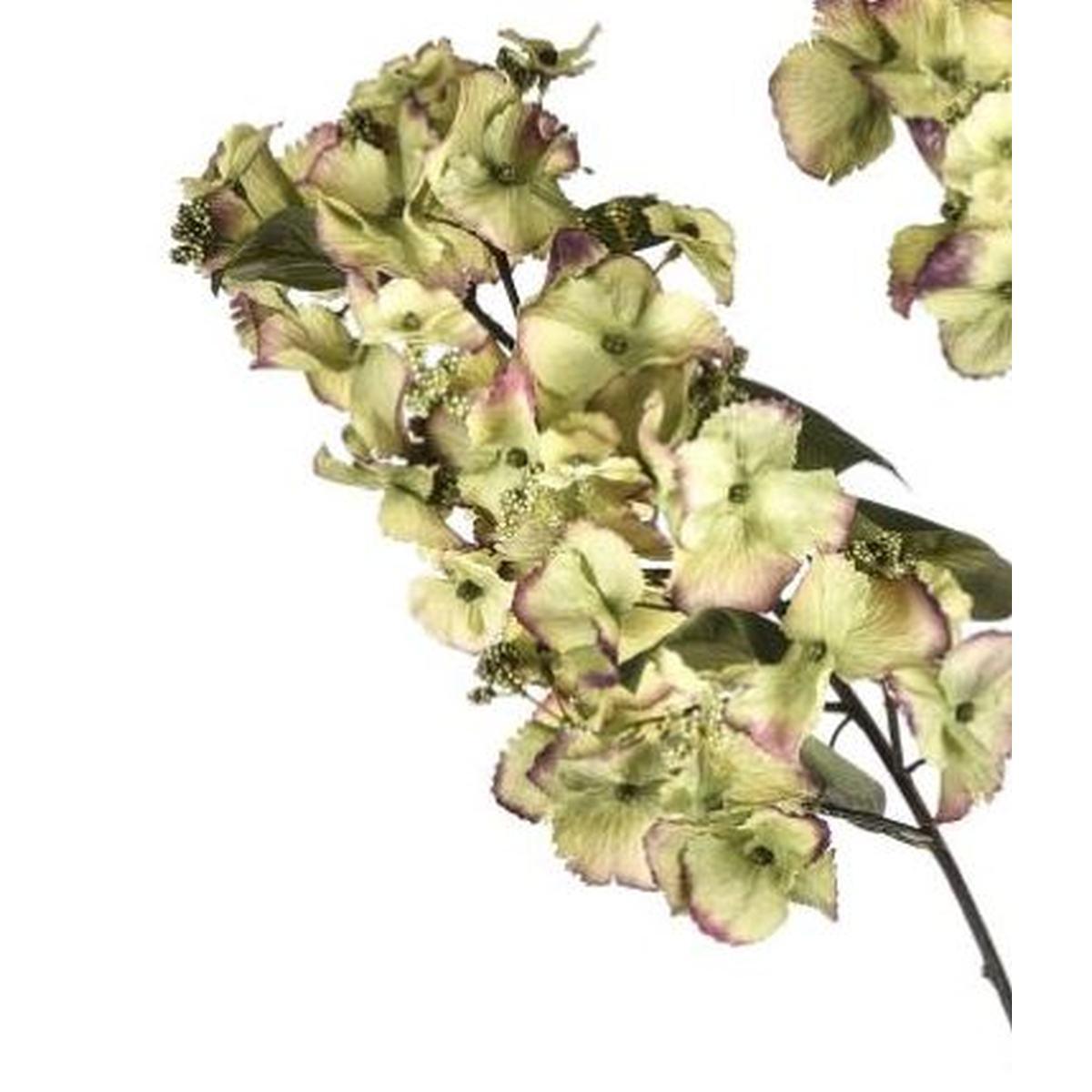 Fiore Ortensia Verdex2 cm.117 | Bianchi Dino