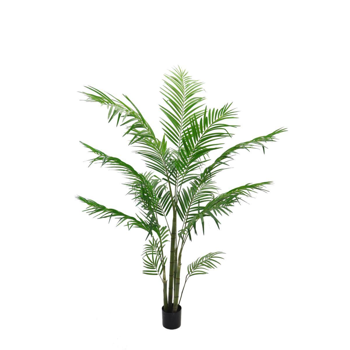 Pianta Palma Areca PVC Verde con Vaso cm.185 | Bianchi Dino