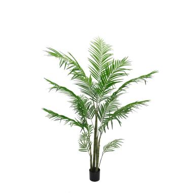 Pianta Palma Areca PVC Verde con Vaso cm.185 | Bianchi Dino