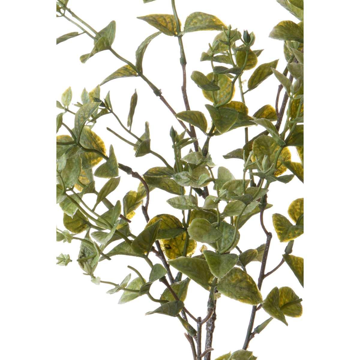 Fiore Rametto Foglie Ruscus Orientale Verde cm.68 | Bianchi Dino