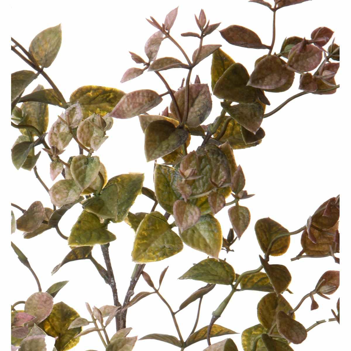 Fiore Rametto Foglie Ruscus Orientale Verde cm.68 | Bianchi Dino