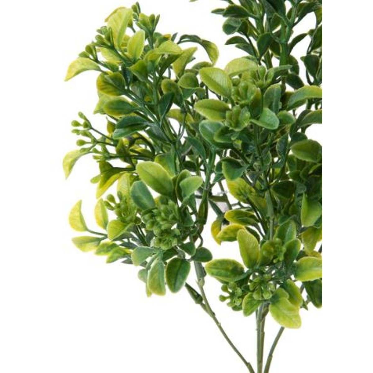 Fiore Cespuglio Bosso Verde cm.33 | Bianchi Dino