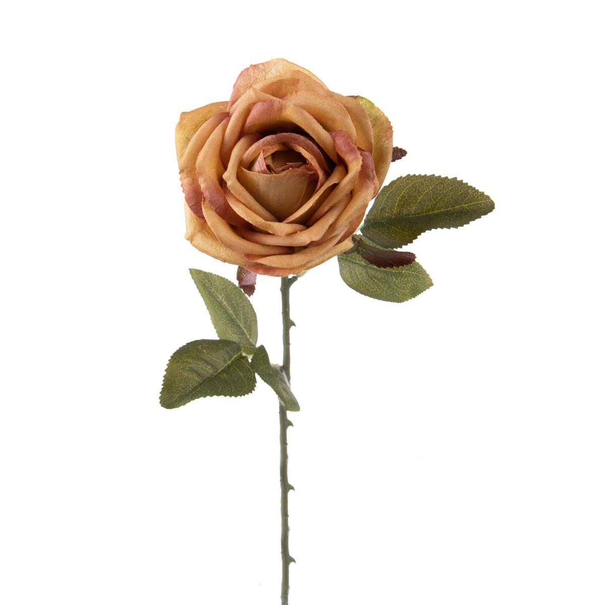 Fiore Rosa Ruggine cm.51 | Bianchi Dino