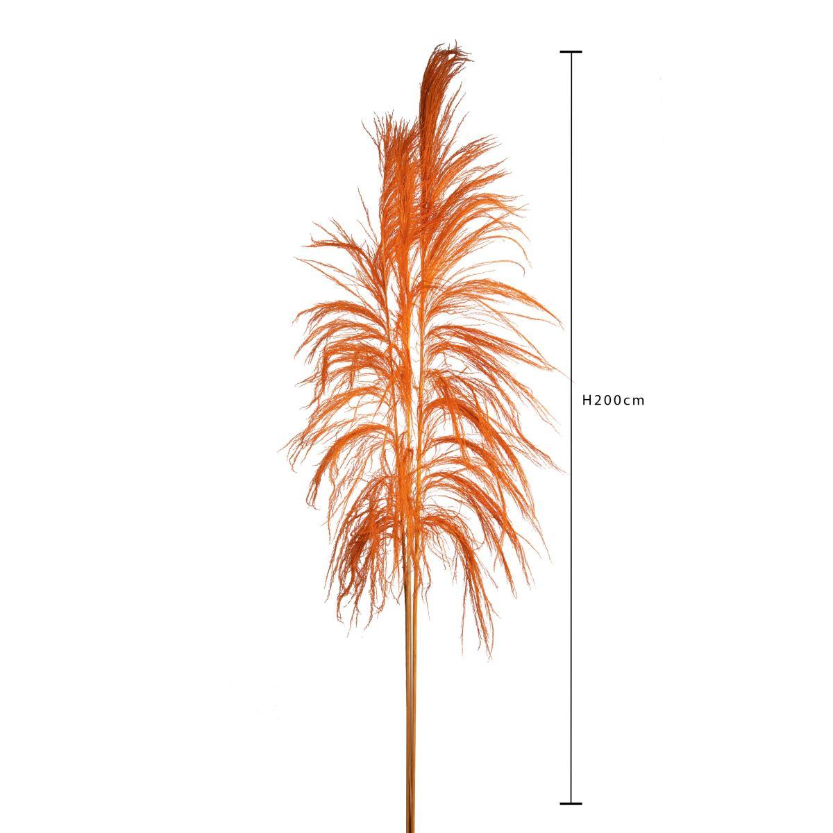 Fiore Rametto Cana Brava Naturale Arancione cm.200 | Bianchi Dino