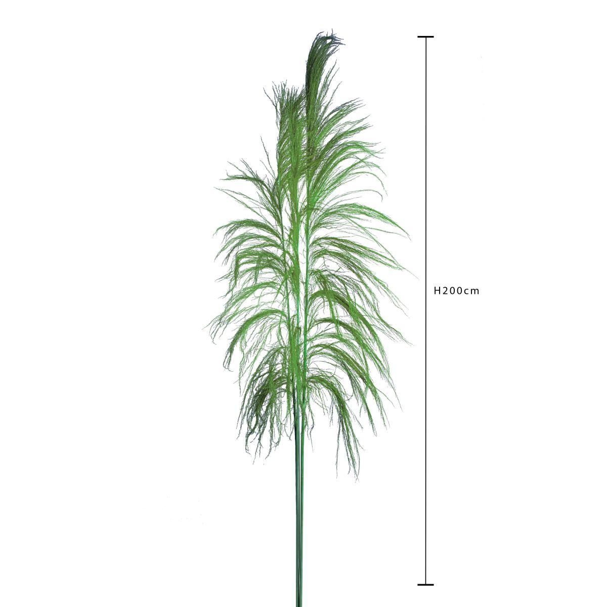 Fiore Rametto Cana Brava Naturale Verde cm.200 | Bianchi Dino