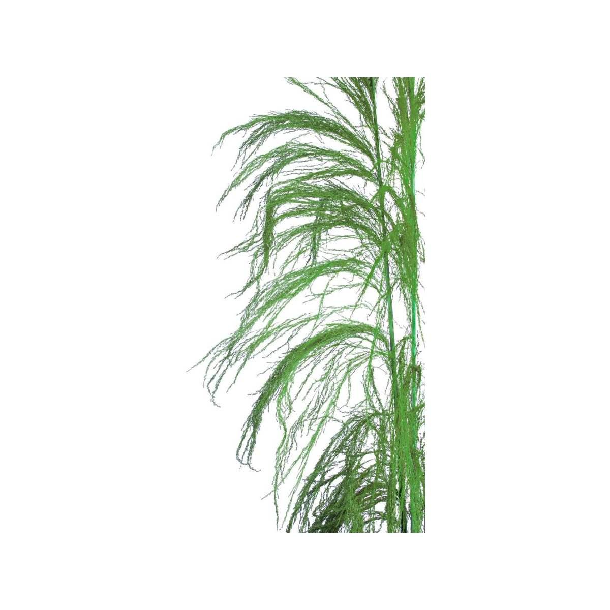 Fiore Rametto Cana Brava Naturale Verde cm.200 | Bianchi Dino