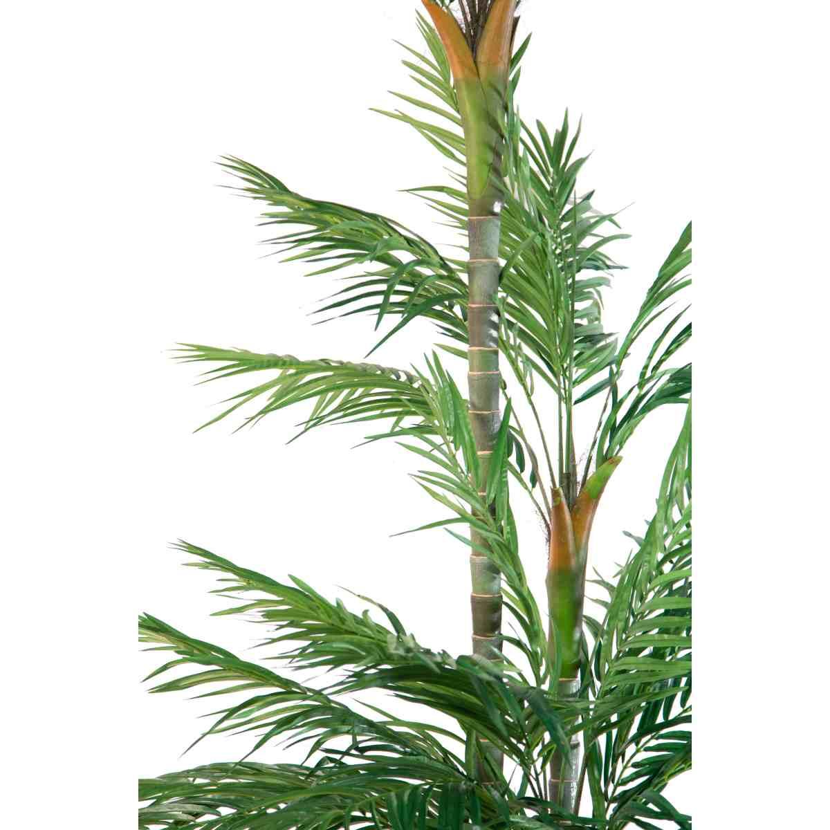 Pianta Palma Areca PVC Verde con Vaso cm.270 | Bianchi Dino