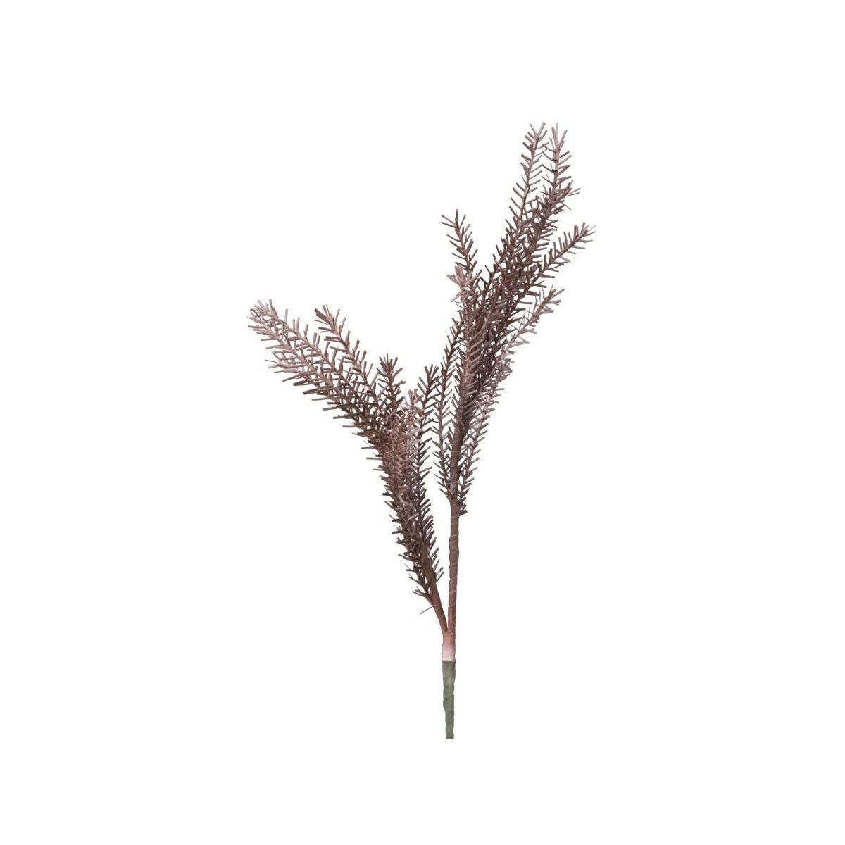 Fiore Bulrush Rosso cm.Ø35x93