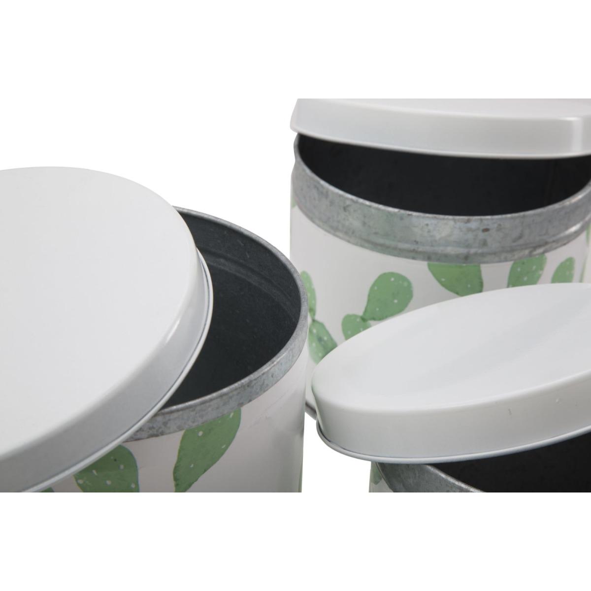 Cofanetti In Latta Cactus Set 3 Pz cm. cm.Ø15x13,5-14x11,5-14x11,5 |Mauro Ferretti