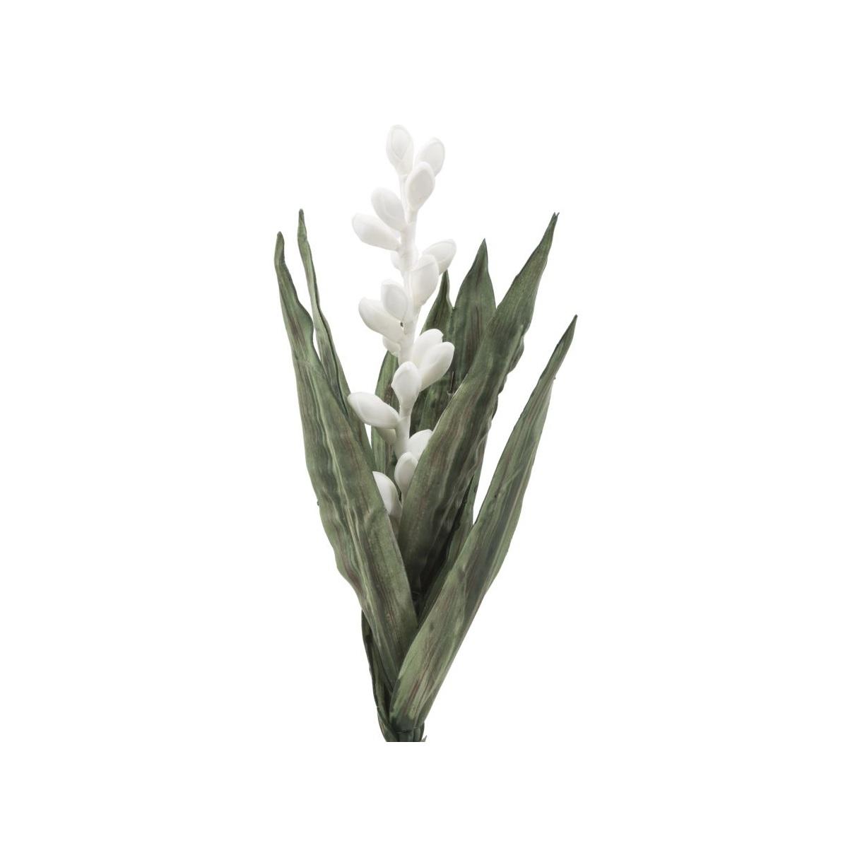 Fiore Aloe Flower Bianco cm.Ø23x93
