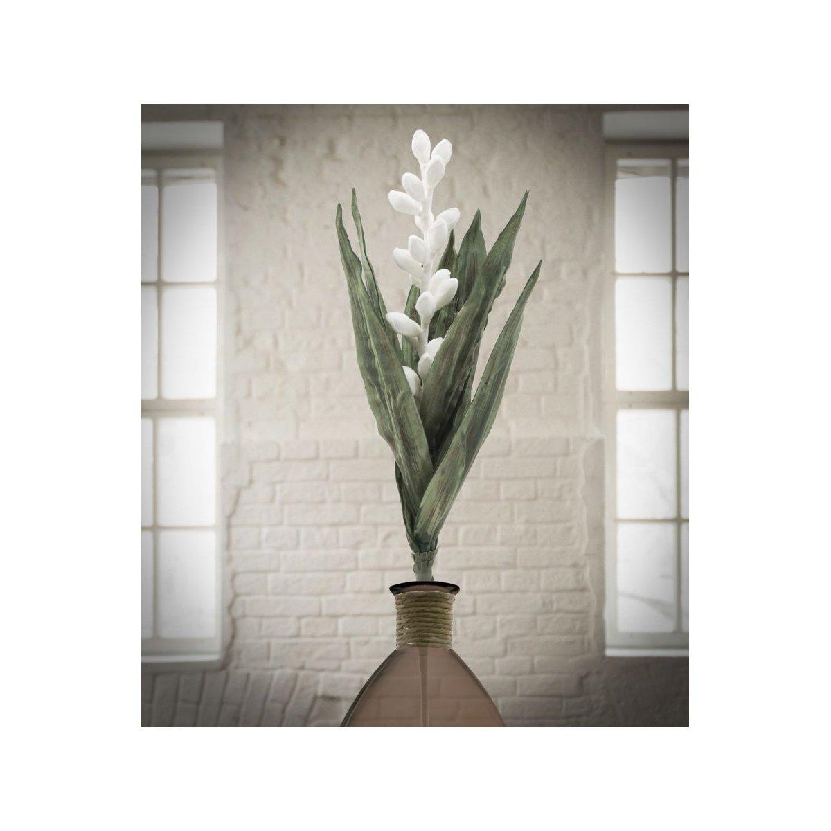 Fiore Aloe Flower Bianco cm.Ø23x93
