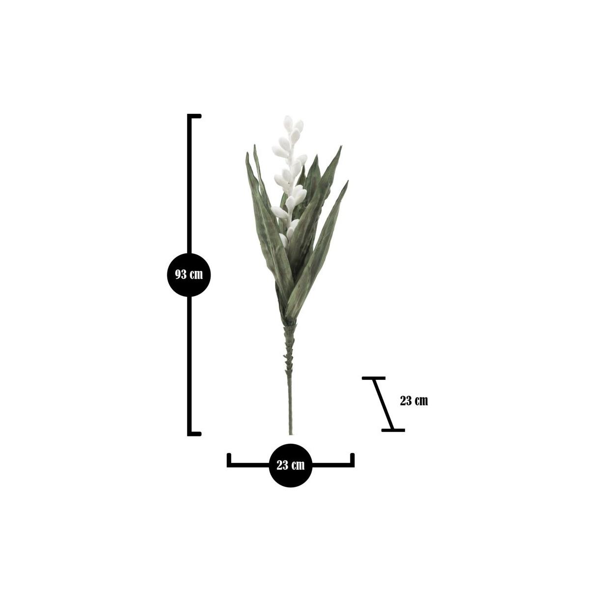 Fiore Aloe Flower Bianco cm.Ø23x93