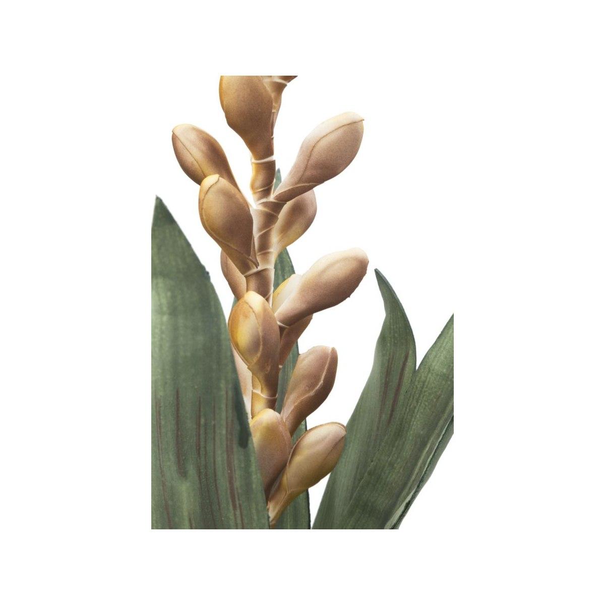 Fiore Aloe Flower Giallo cm.Ø23x93