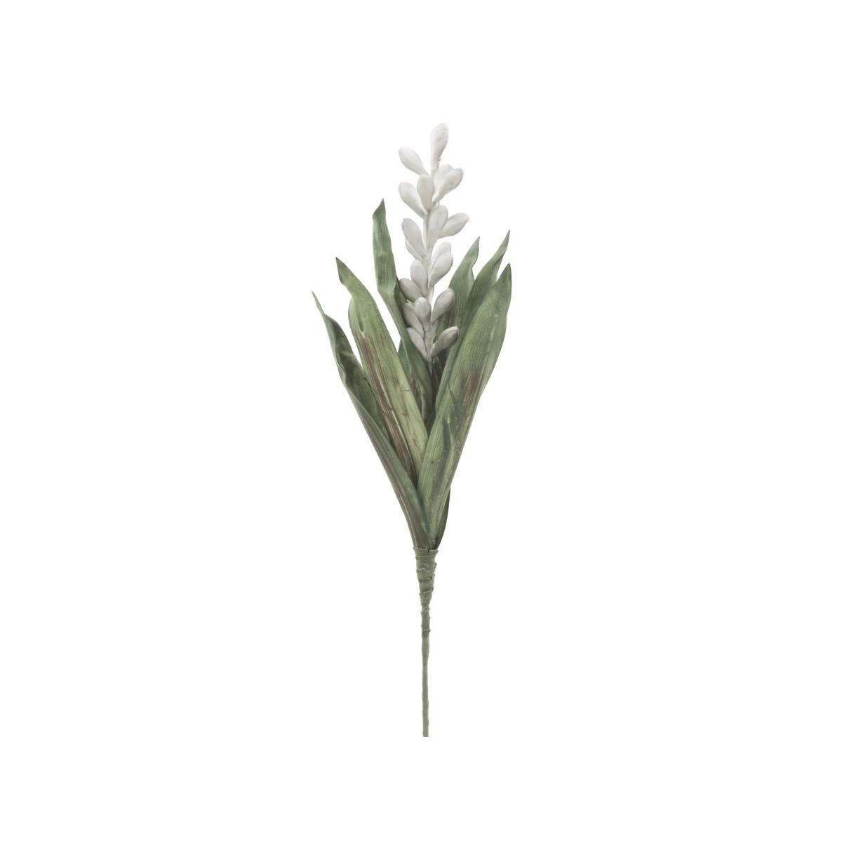 Fiore Aloe Flower Grigio cm.Ø23x93