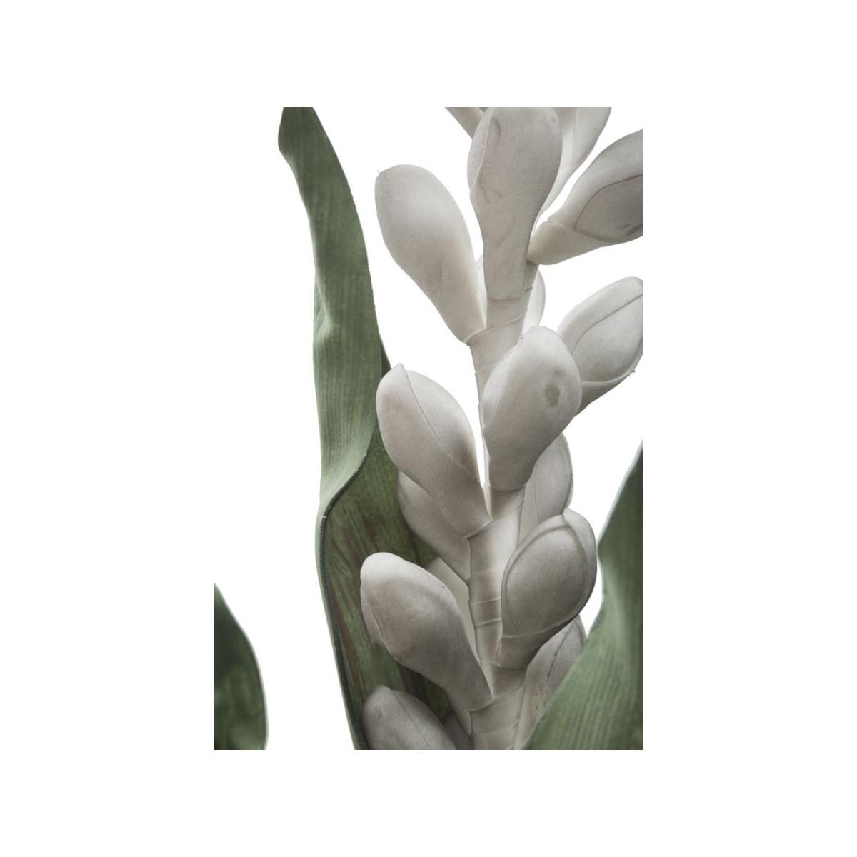 Fiore Aloe Flower Grigio cm.Ø23x93