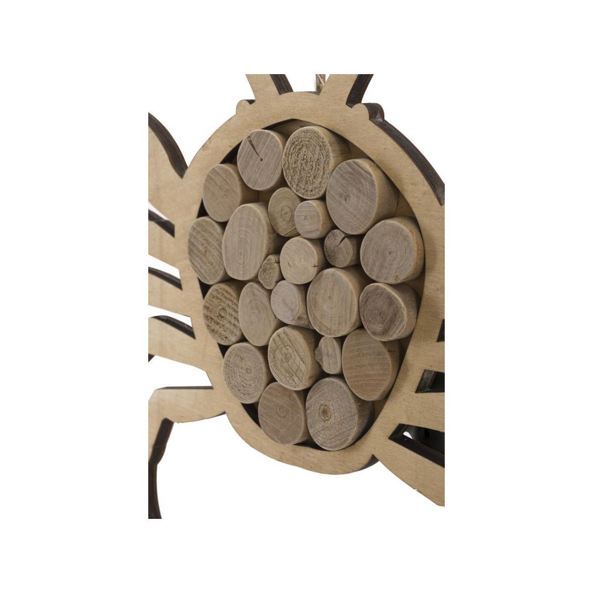 Granchio Nature cm.35x2x31 |Mauro Ferretti