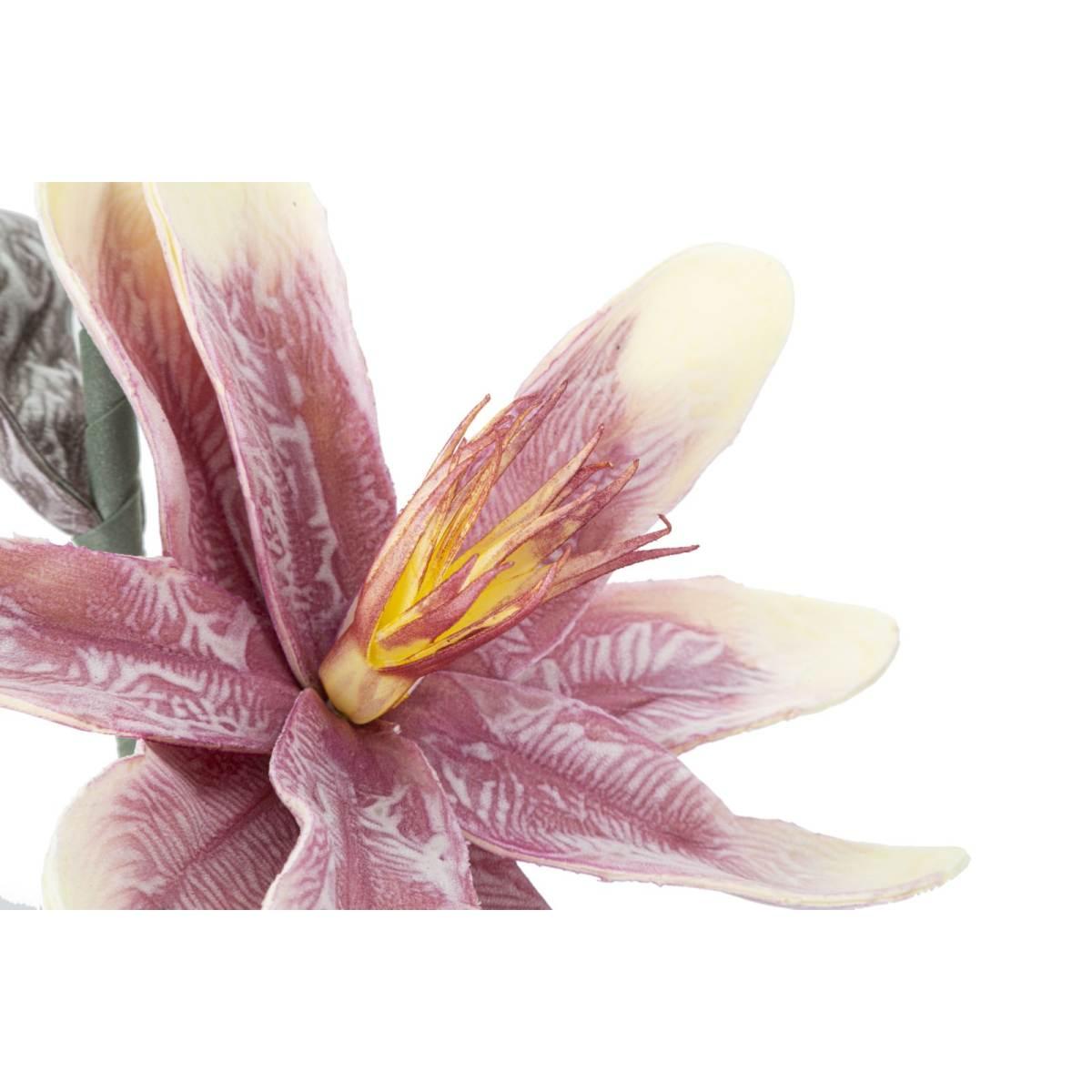 Fiore Magnolia x2 Purple cm.Ø25x98