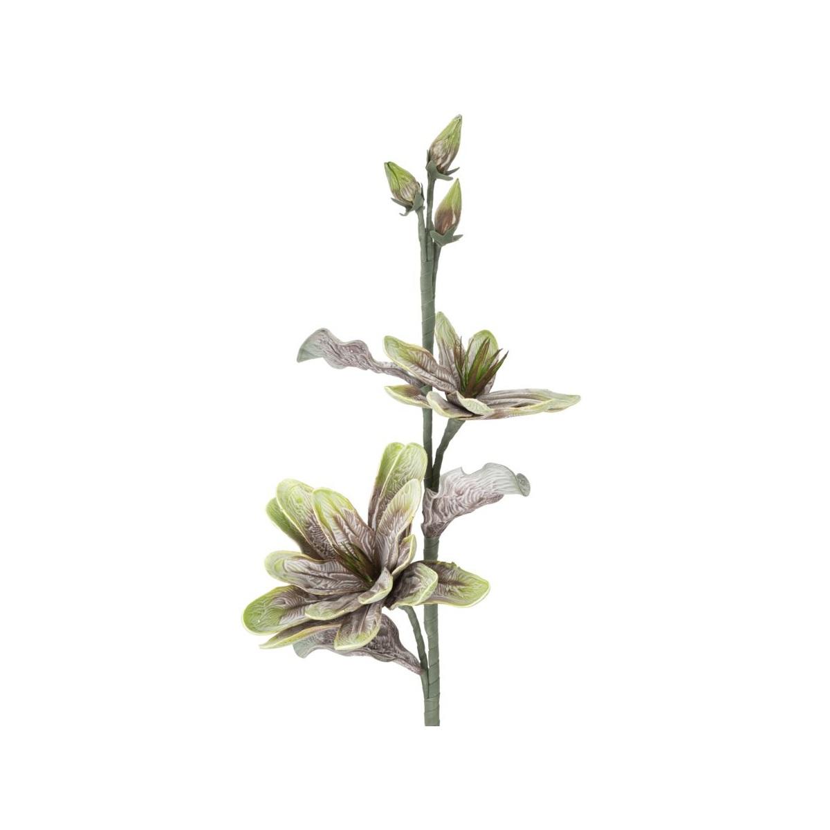 Fiore Magnolia x2 Verde cm.Ø25x98