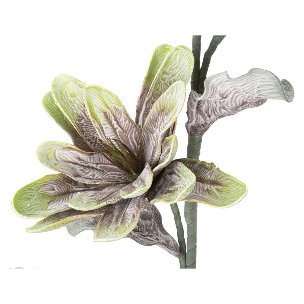 Fiore Magnolia x2 Verde cm.Ø25x98