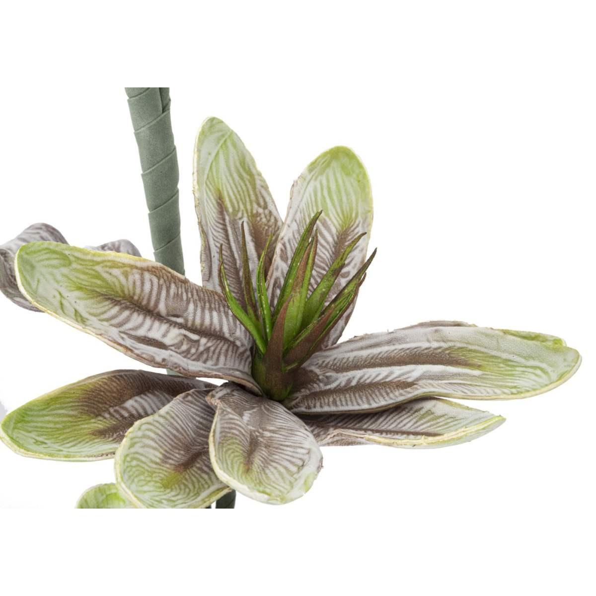 Fiore Magnolia x2 Verde cm.Ø25x98