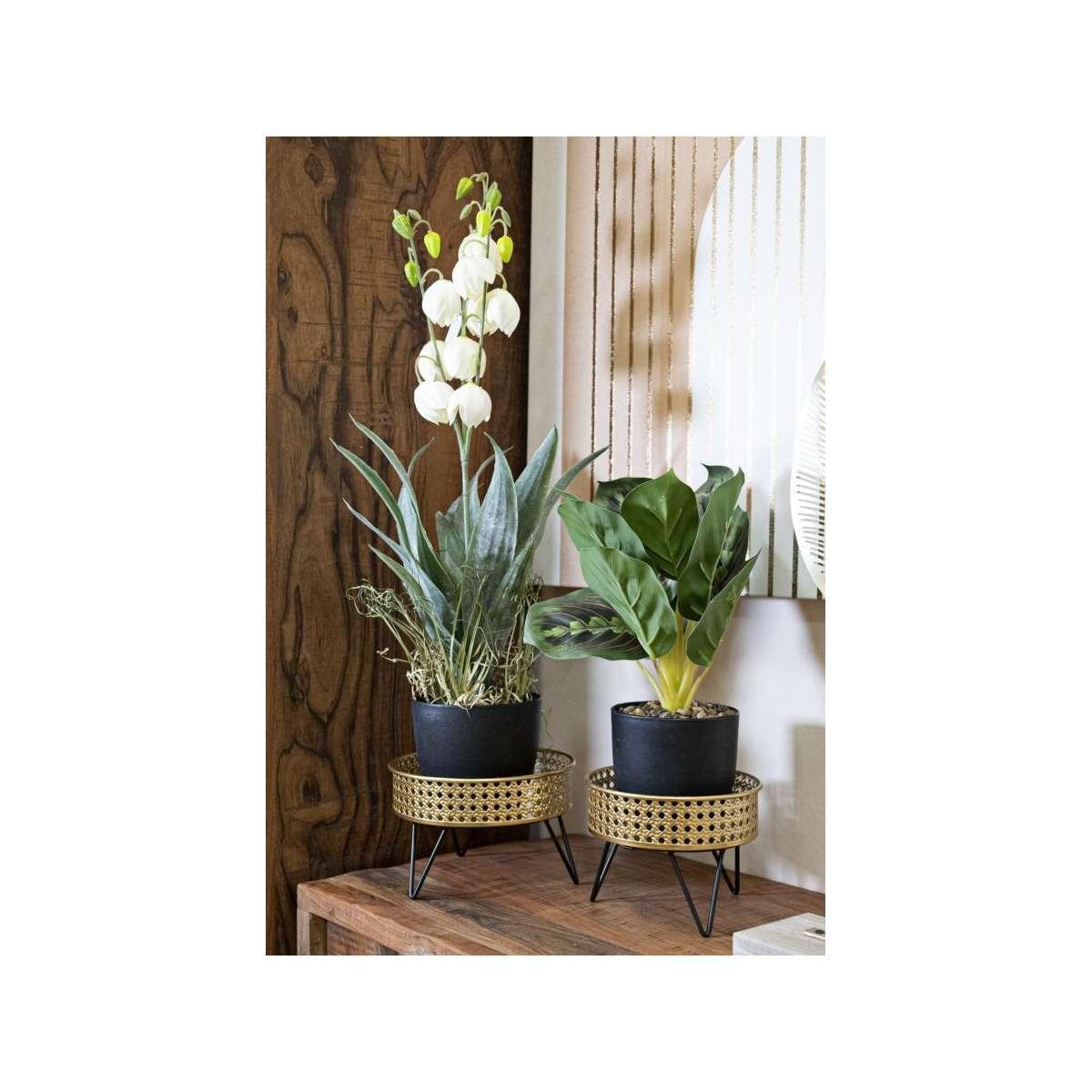 Porta Vasi Bossy Coppia cm.Ø20,5x13-18x13 |Mauro Ferretti