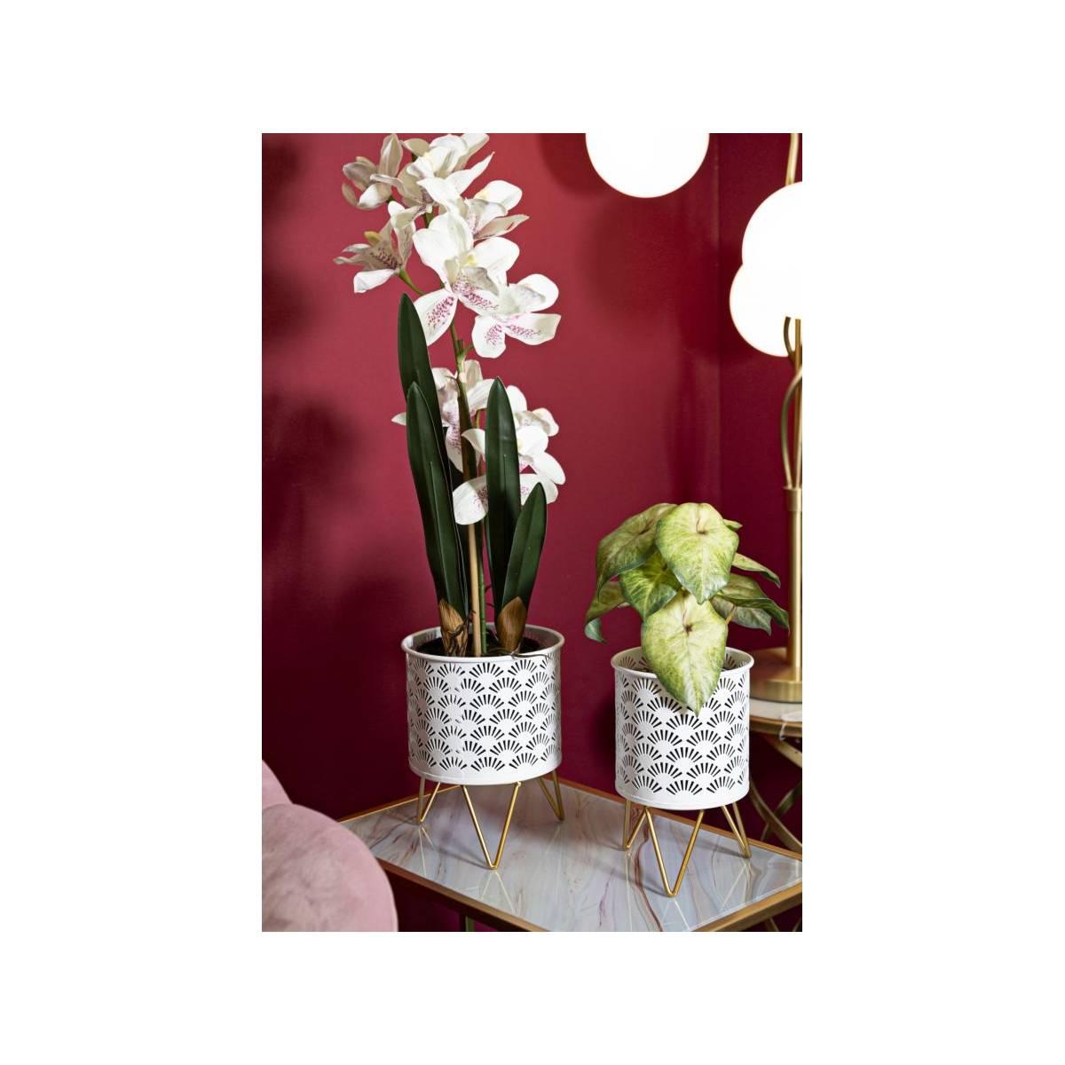 Porta Vasi Carly Coppia cm.Ø16x20-13x20 |Mauro Ferretti