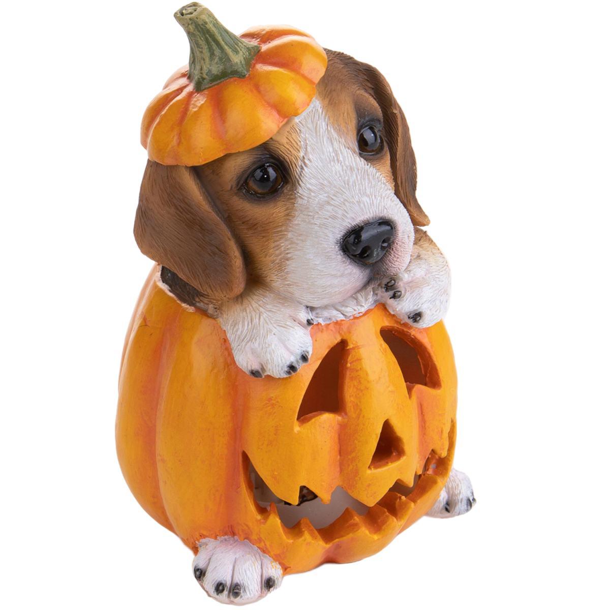 Zucca Resina con Cane e Luce Led cm.10x16 |Bianchi Dino