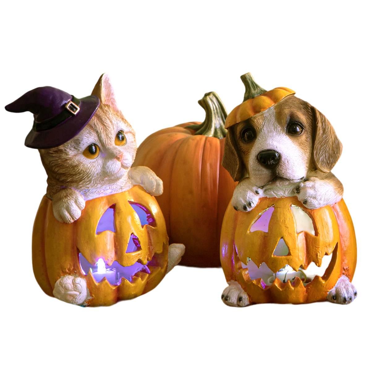 Zucca Resina con Cane e Luce Led cm.10x16 |Bianchi Dino