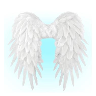 Ali Piumate Bianche cm.50x50 |Widmann