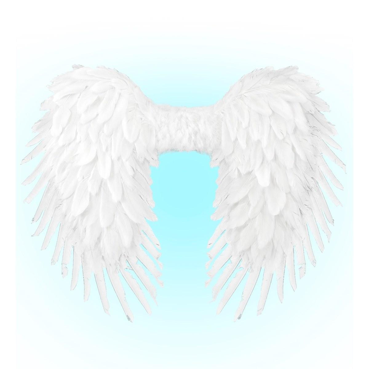 Ali Piumate Bianche cm.80x60 |Widmann